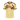 Al Ahly — Ausweichtrikot 26/27 - Vorderseite